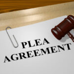 Plea Plea